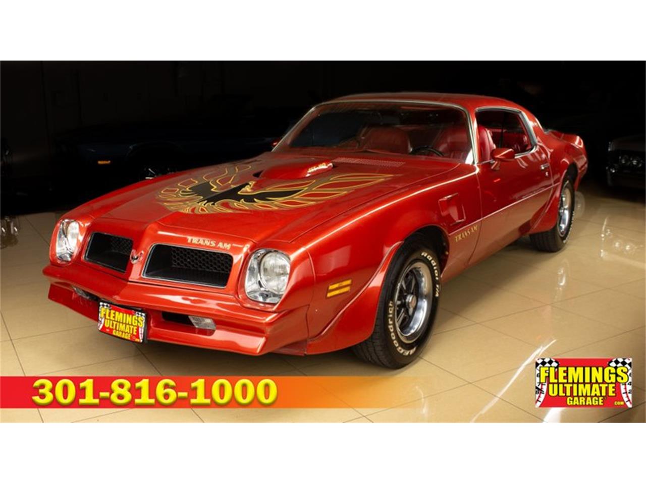 1976 Pontiac Firebird for Sale | ClassicCars.com | CC-1490048