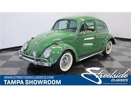 1965 Volkswagen Beetle (CC-1504905) for sale in Lutz, Florida