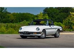 1986 Alfa Romeo Spider (CC-1505344) for sale in Collierville, Tennessee