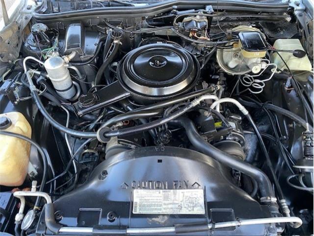 1984 Chevrolet Caprice (CC-1505807) for sale in Reno, Nevada