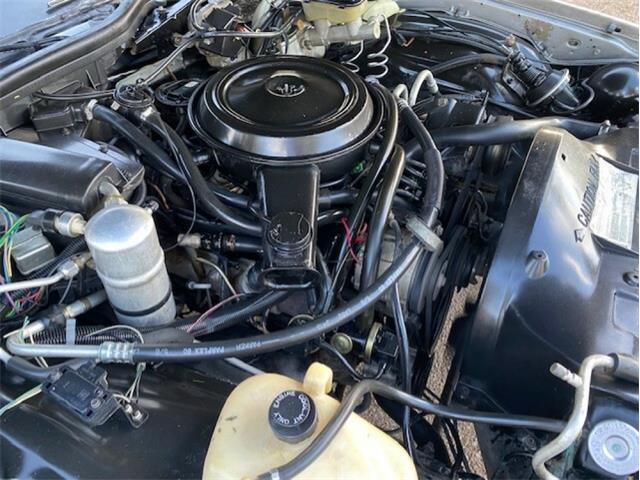 1984 Chevrolet Caprice (CC-1505807) for sale in Reno, Nevada