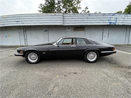 1991 Jaguar XJS (CC-1507158) for sale in HIGHLAND PARK, New Jersey