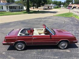 1985 Chrysler LeBaron (CC-1507825) for sale in UTICA, Ohio