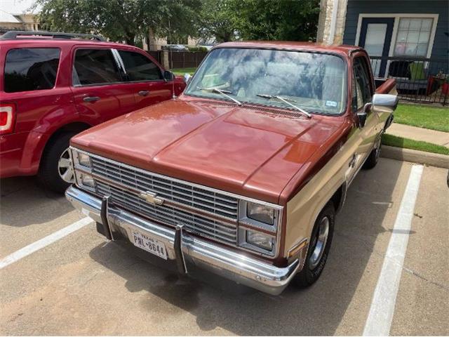 1983 Chevrolet C10 (CC-1508451) for sale in Cadillac, Michigan