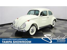 1970 Volkswagen Beetle (CC-1509104) for sale in Lutz, Florida