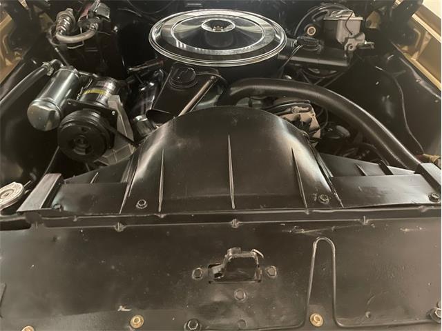 1969 Pontiac GTO (CC-1509720) for sale in Clearwater, Florida