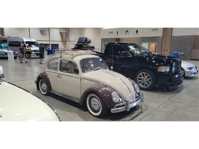 1966 Volkswagen Beetle (CC-1511109) for sale in Reno, Nevada