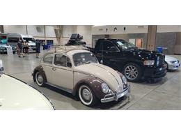 1966 Volkswagen Beetle (CC-1511109) for sale in Reno, Nevada