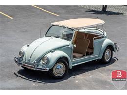 1966 Volkswagen Beetle (CC-1511201) for sale in Miami, Florida