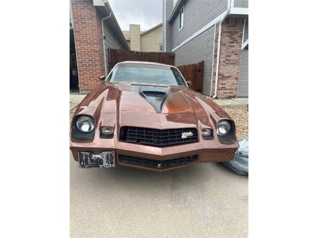 1978 Chevrolet Camaro (CC-1511634) for sale in Cadillac, Michigan