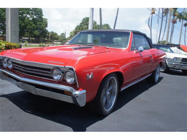 1967 Chevrolet Chevelle Malibu (CC-1512027) for sale in Lantana, Florida