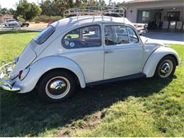 1965 Volkswagen Beetle (CC-1512267) for sale in Cadillac, Michigan