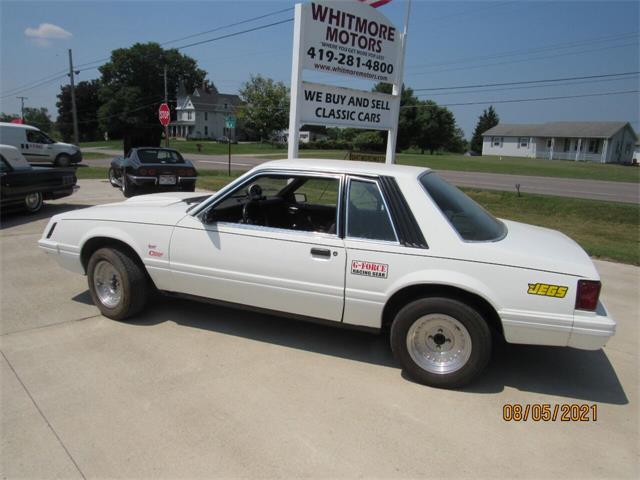1979 Ford Mustang (CC-1512446) for sale in Ashland, Ohio