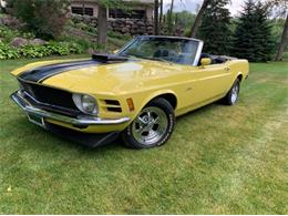 1970 Ford Mustang (CC-1513139) for sale in Cadillac, Michigan