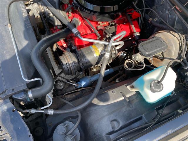 1980 Chevrolet El Camino (CC-1510331) for sale in Pompano Beach, Florida