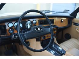 1985 Jaguar XJ (CC-1513449) for sale in Santa Barbara, California