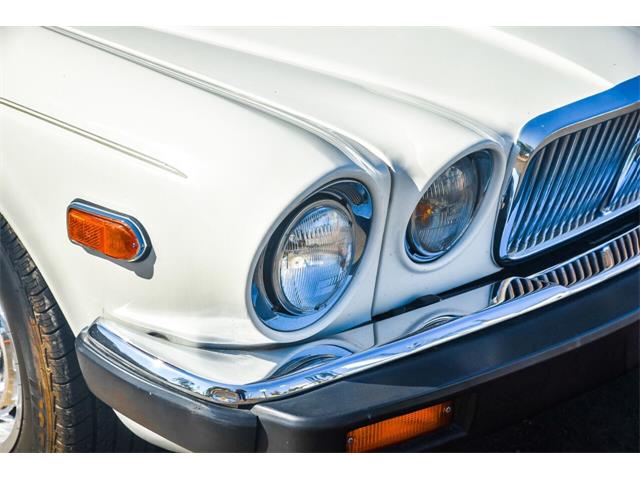 1985 Jaguar XJ (CC-1513449) for sale in Santa Barbara, California