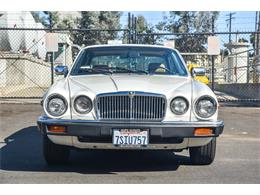 1985 Jaguar XJ (CC-1513449) for sale in Santa Barbara, California