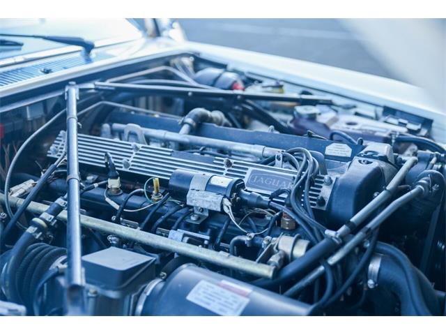 1985 Jaguar XJ (CC-1513449) for sale in Santa Barbara, California