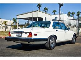 1985 Jaguar XJ (CC-1513449) for sale in Santa Barbara, California