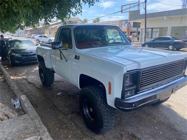 1979 GMC K1500 (CC-1513763) for sale in Cadillac, Michigan