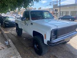 1979 GMC K1500 (CC-1513763) for sale in Cadillac, Michigan