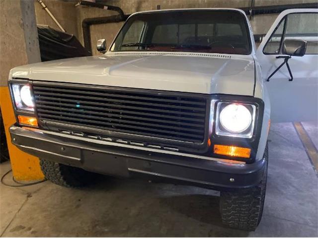 1979 GMC K1500 (CC-1513763) for sale in Cadillac, Michigan