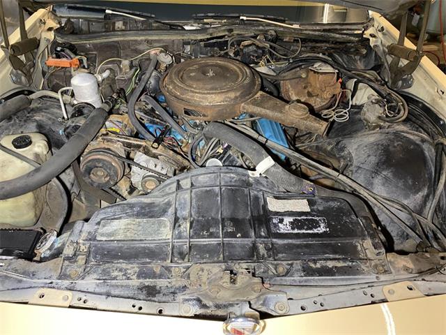 1978 Buick Electra 225 (CC-1514092) for sale in Ham Lake, Minnesota
