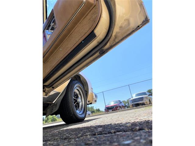 1978 Buick Electra 225 (CC-1514092) for sale in Ham Lake, Minnesota