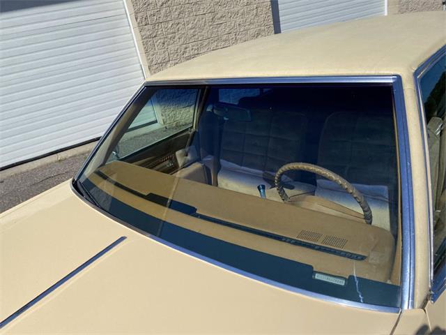1978 Buick Electra 225 (CC-1514092) for sale in Ham Lake, Minnesota