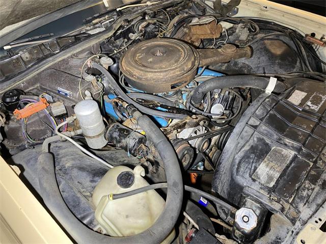 1978 Buick Electra 225 (CC-1514092) for sale in Ham Lake, Minnesota