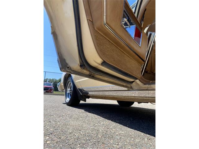 1978 Buick Electra 225 (CC-1514092) for sale in Ham Lake, Minnesota