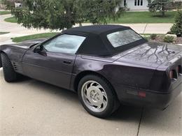 1994 Chevrolet Corvette (CC-1515043) for sale in DAKOTA DUNES, South Dakota
