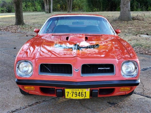 1974 Pontiac Firebird Trans Am for Sale | ClassicCars.com | CC-1515072