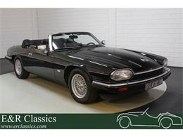 1993 Jaguar XJS (CC-1515614) for sale in Waalwijk, [nl] Pays-Bas