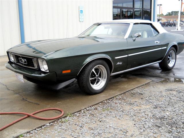 1973 Ford Mustang (CC-1510722) for sale in Greenville, North Carolina