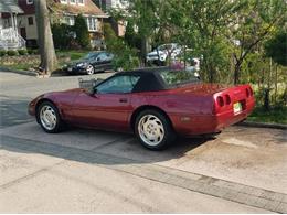 1995 Chevrolet Corvette (CC-1517996) for sale in Cadillac, Michigan