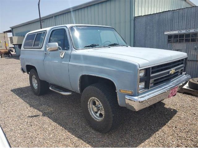 1987 Chevrolet Blazer (CC-1519332) for sale in Cadillac, Michigan