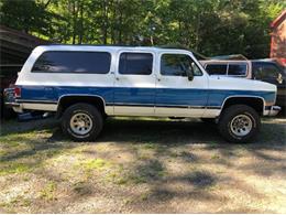 1991 Chevrolet Suburban (CC-1519333) for sale in Cadillac, Michigan