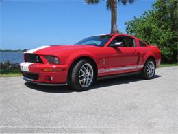 2008 Shelby GT500 (CC-1510951) for sale in Englewood, Florida