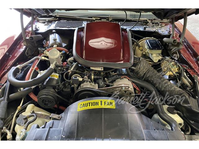 1981 Pontiac Firebird Trans Am (CC-1521374) for sale in Houston, Texas
