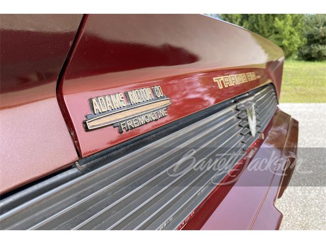 1981 Pontiac Firebird Trans Am (CC-1521374) for sale in Houston, Texas