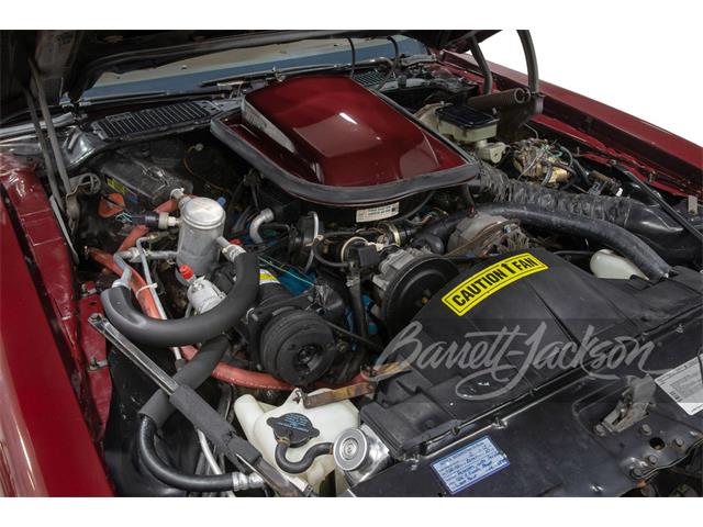 1981 Pontiac Firebird Trans Am (CC-1521374) for sale in Houston, Texas