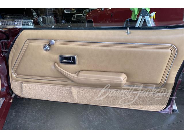 1981 Pontiac Firebird Trans Am (CC-1521374) for sale in Houston, Texas