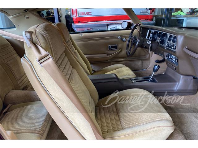 1981 Pontiac Firebird Trans Am (CC-1521374) for sale in Houston, Texas