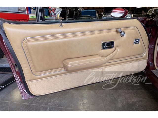 1981 Pontiac Firebird Trans Am (CC-1521374) for sale in Houston, Texas