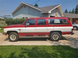 1985 Chevrolet Suburban (CC-1522562) for sale in Cadillac, Michigan