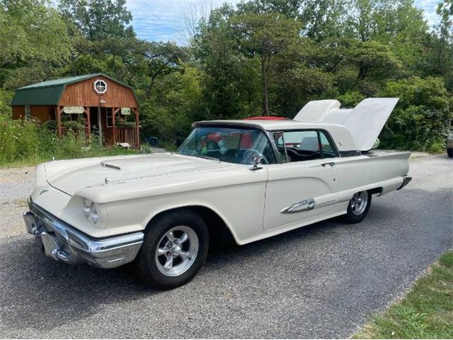 1959 Ford Thunderbird (CC-1520286) for sale in Cadillac, Michigan