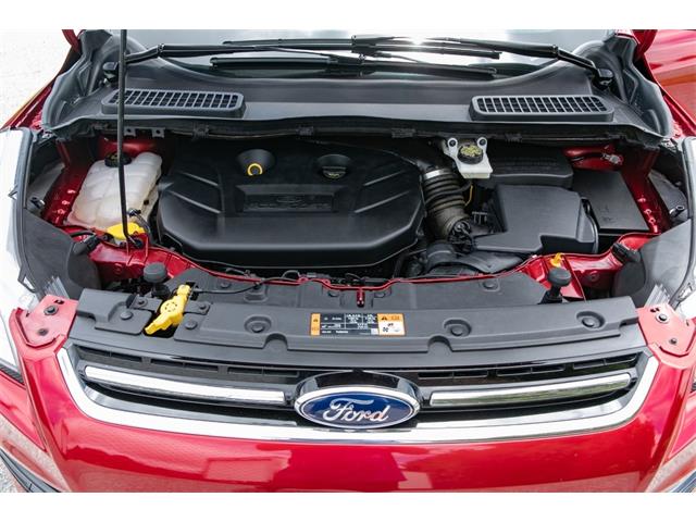 2015 Ford Escape (CC-1520334) for sale in Ridgeland, South Carolina