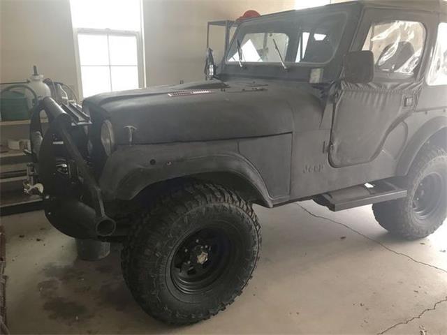 1978 Jeep CJ (CC-1523672) for sale in Cadillac, Michigan